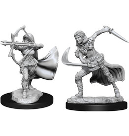 WizKids D&D Minis: W15 Female Air Genasi