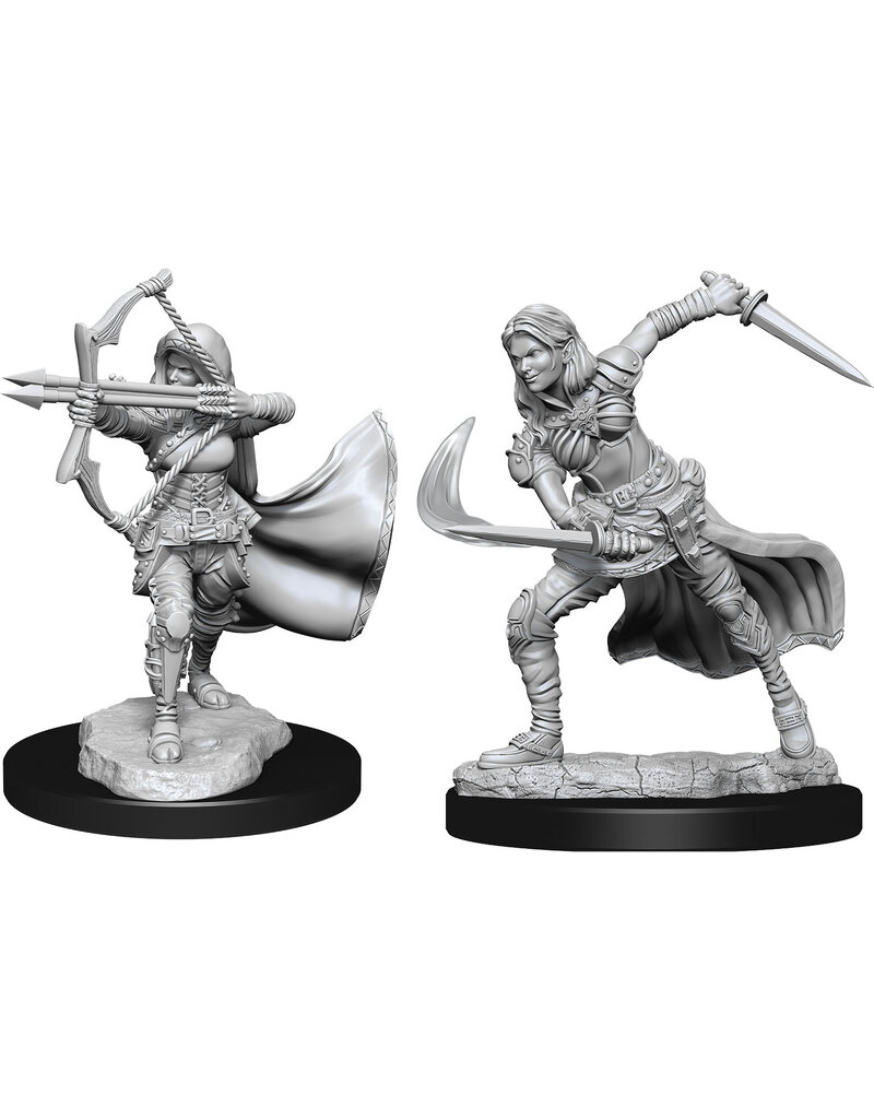 WizKids D&D Minis: W15 Female Air Genasi