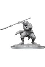 WizKids D&D Minis: W17 Oni Female