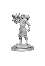 WizKids D&D Minis: W19 Human Artificer & Apprentice