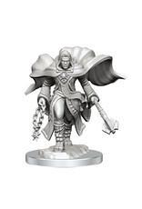 WizKids D&D Minis: W20 Aasimar Male Cleric