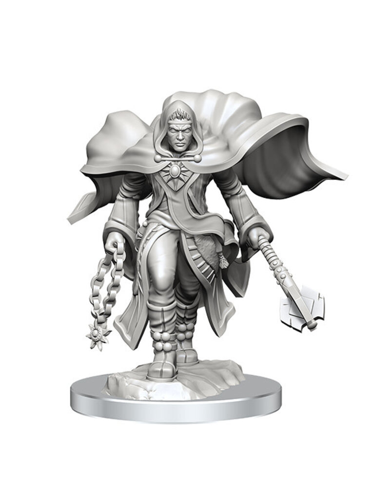 WizKids D&D Minis: W20 Aasimar Male Cleric