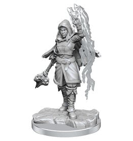 WizKids D&D Minis: W20 Half-Elf Warlock