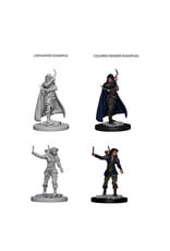 WizKids Pathfinder Minis: W01 Human Female Rogue