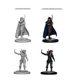 WizKids Pathfinder Minis: W01 Human Female Rogue