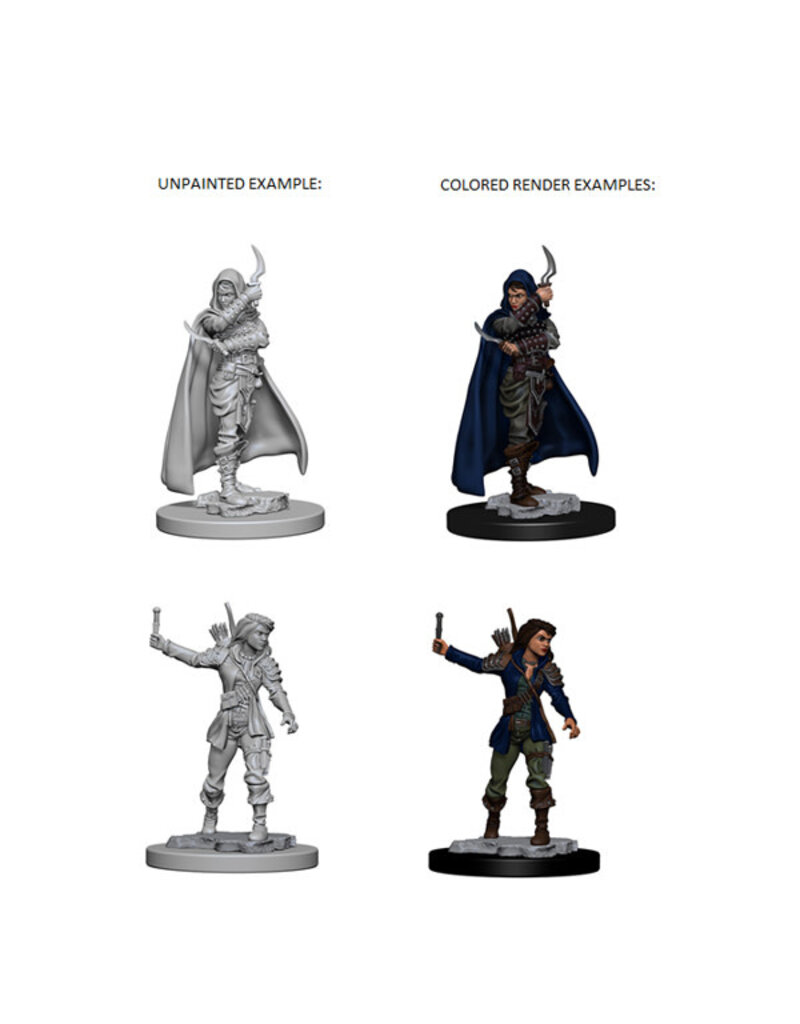 WizKids Pathfinder Minis: W01 Human Female Rogue