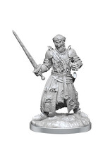 WizKids WizKids Minis: W19 Dead Warlord