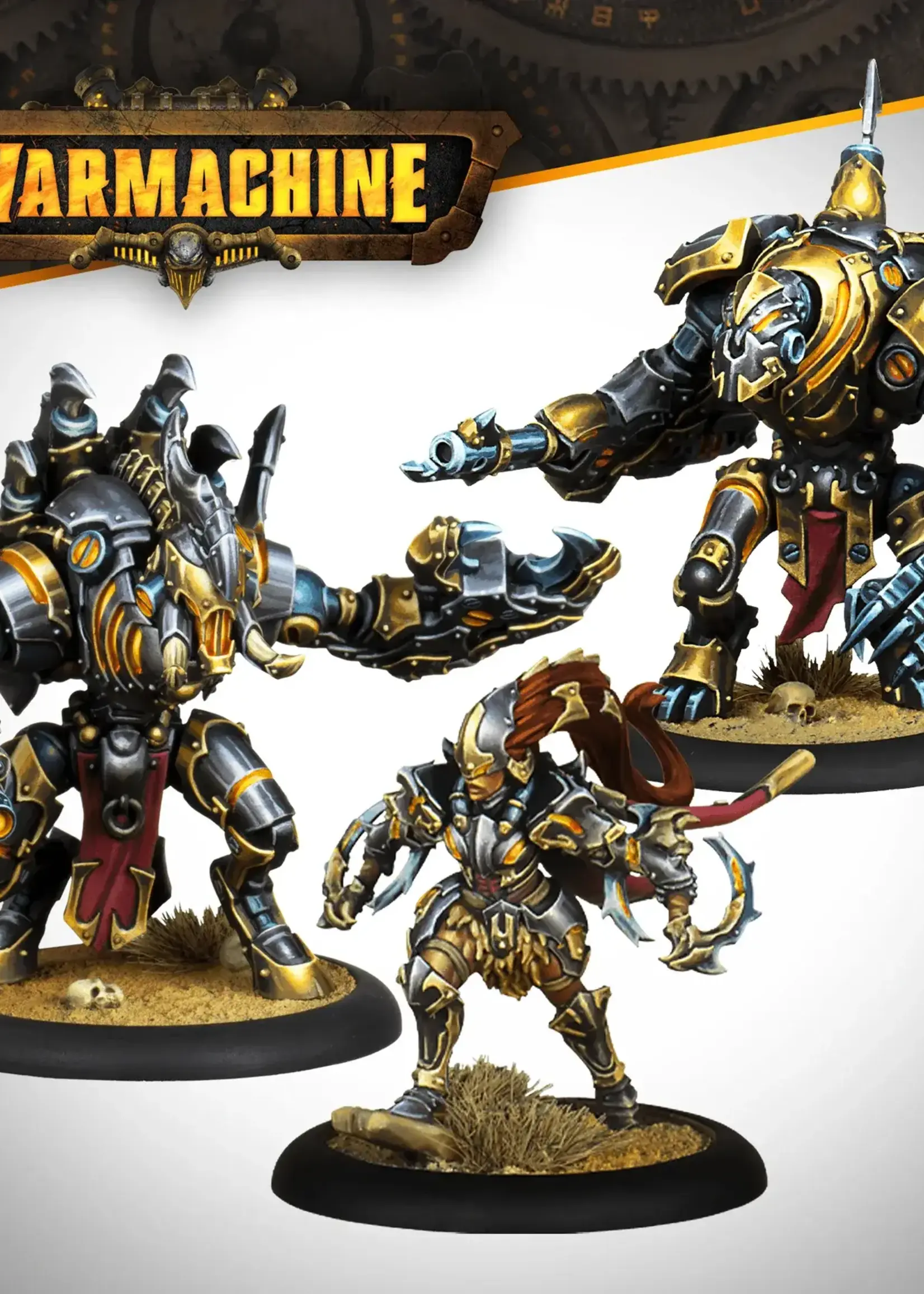 Steamforged Games LTD (SFG) Warmachine: Orgoth Sea Raiders - Battlegroup Box