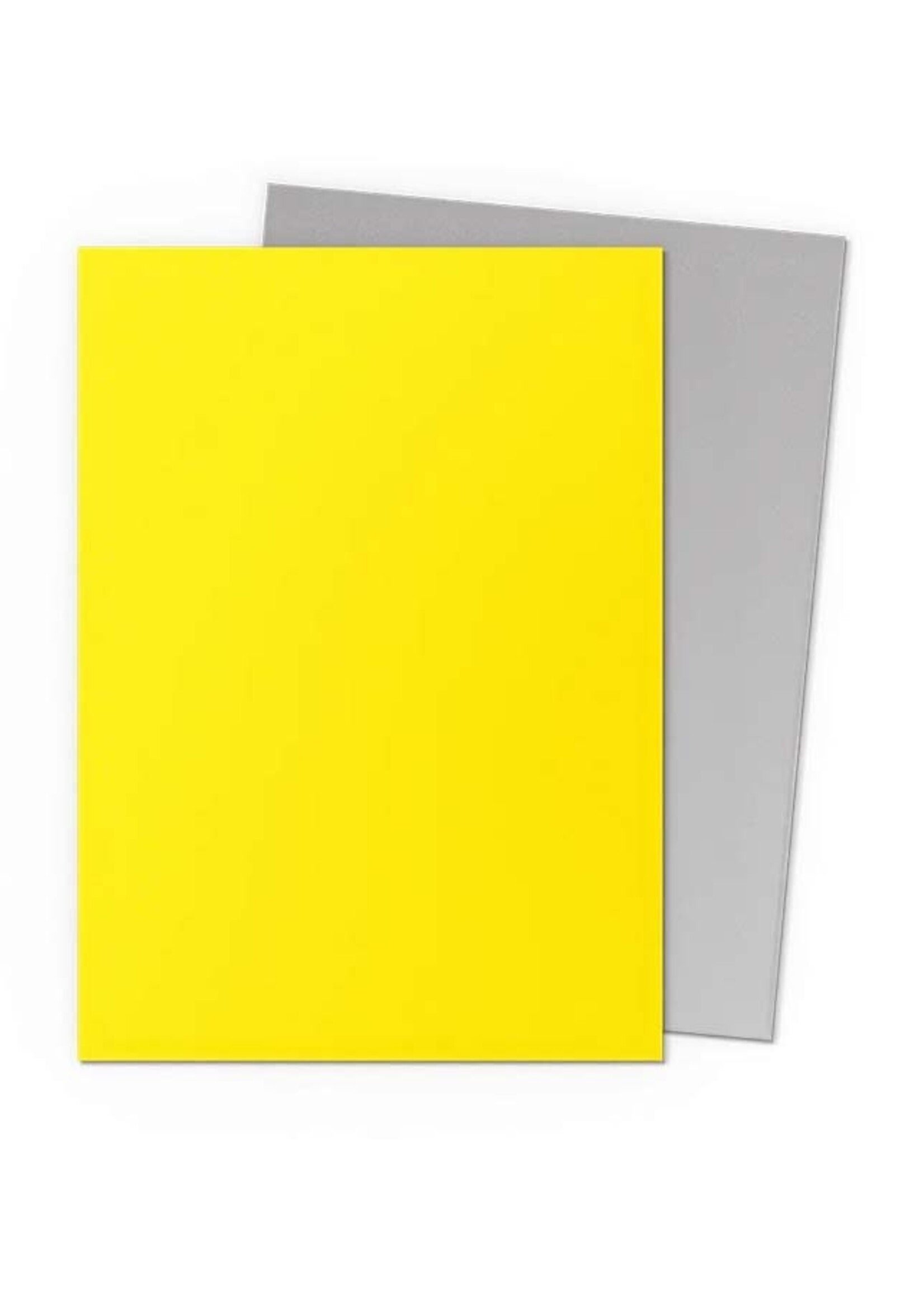 Arcane Tinmen Dragon Shield Standard Matte Dual: Yellow & Silver (100)