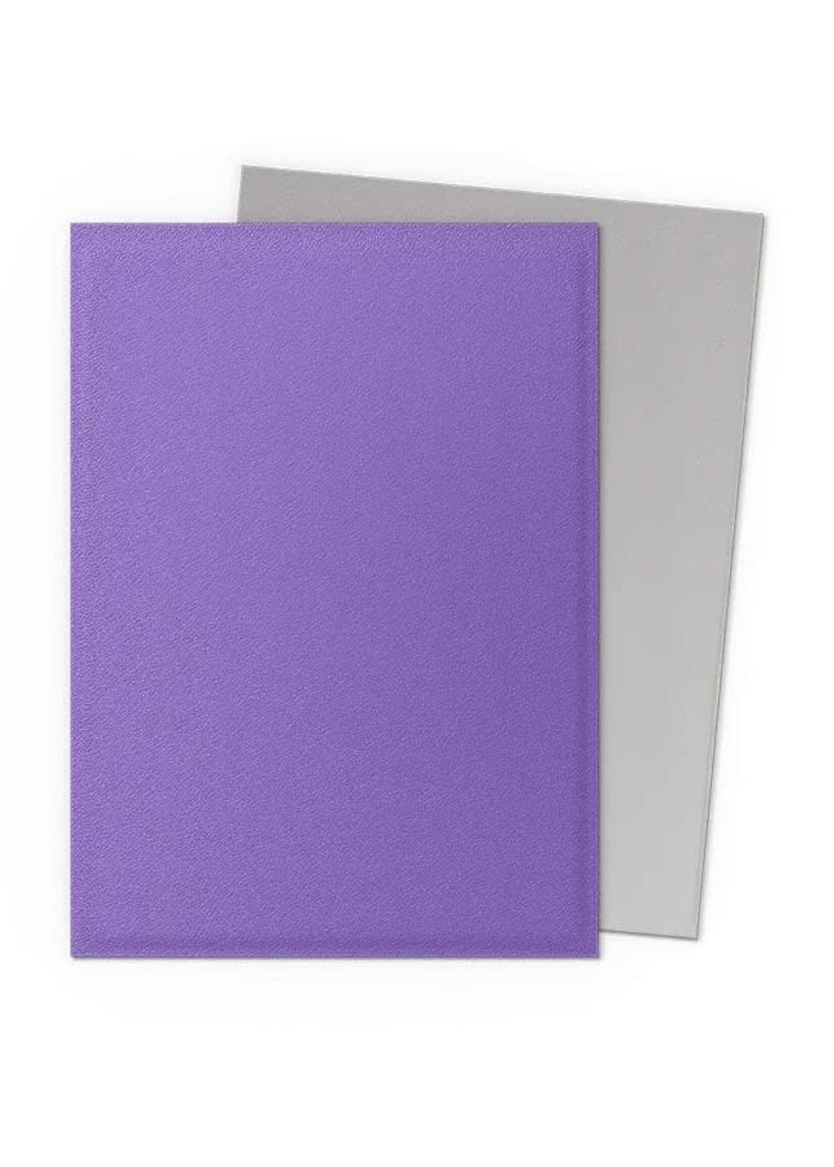 Arcane Tinmen Dragon Shield Standard Matte Dual: Nebula & Silver (100)