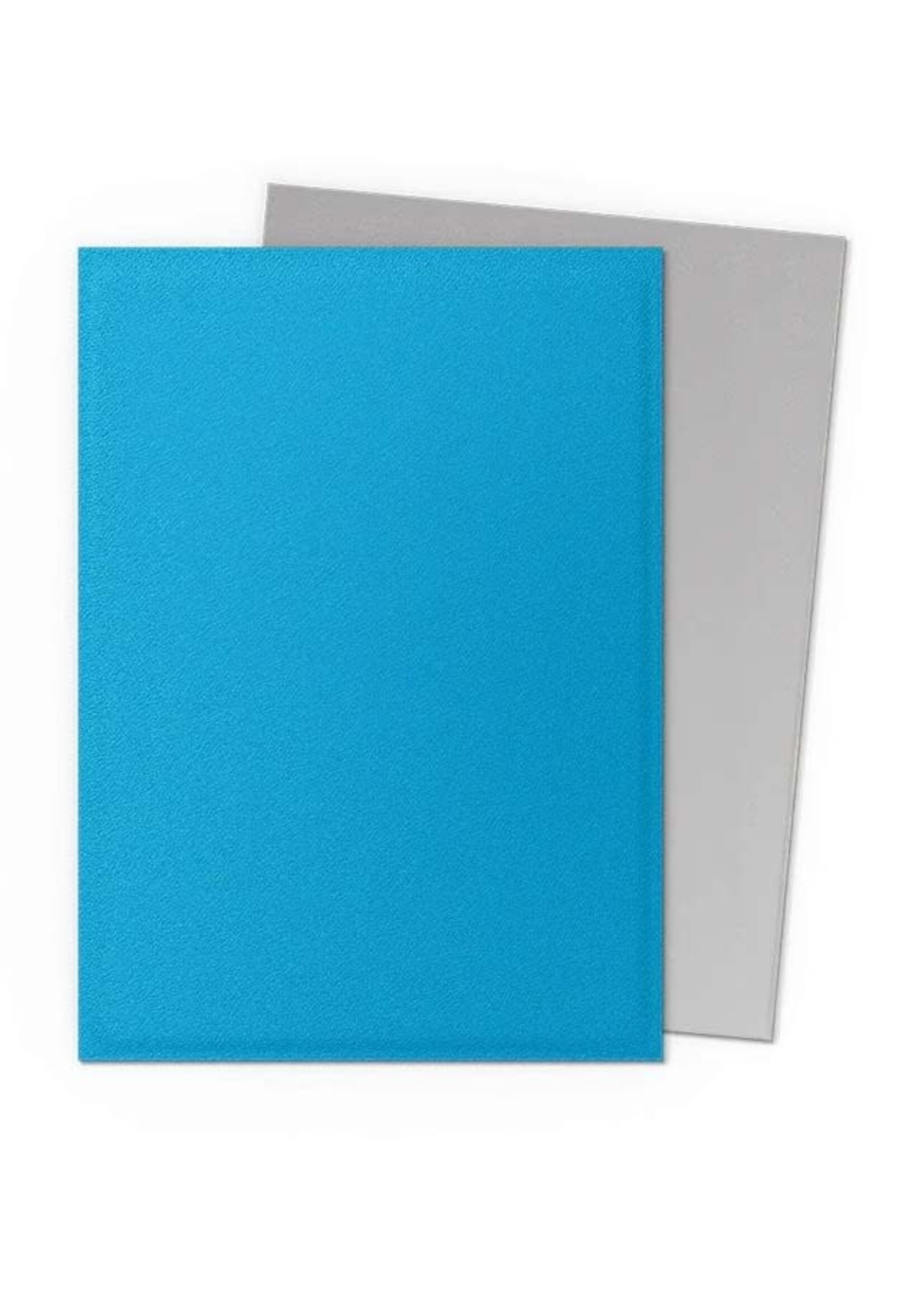 Arcane Tinmen Dragon Shield Standard Matte Dual: Sky Blue & Silver (100)