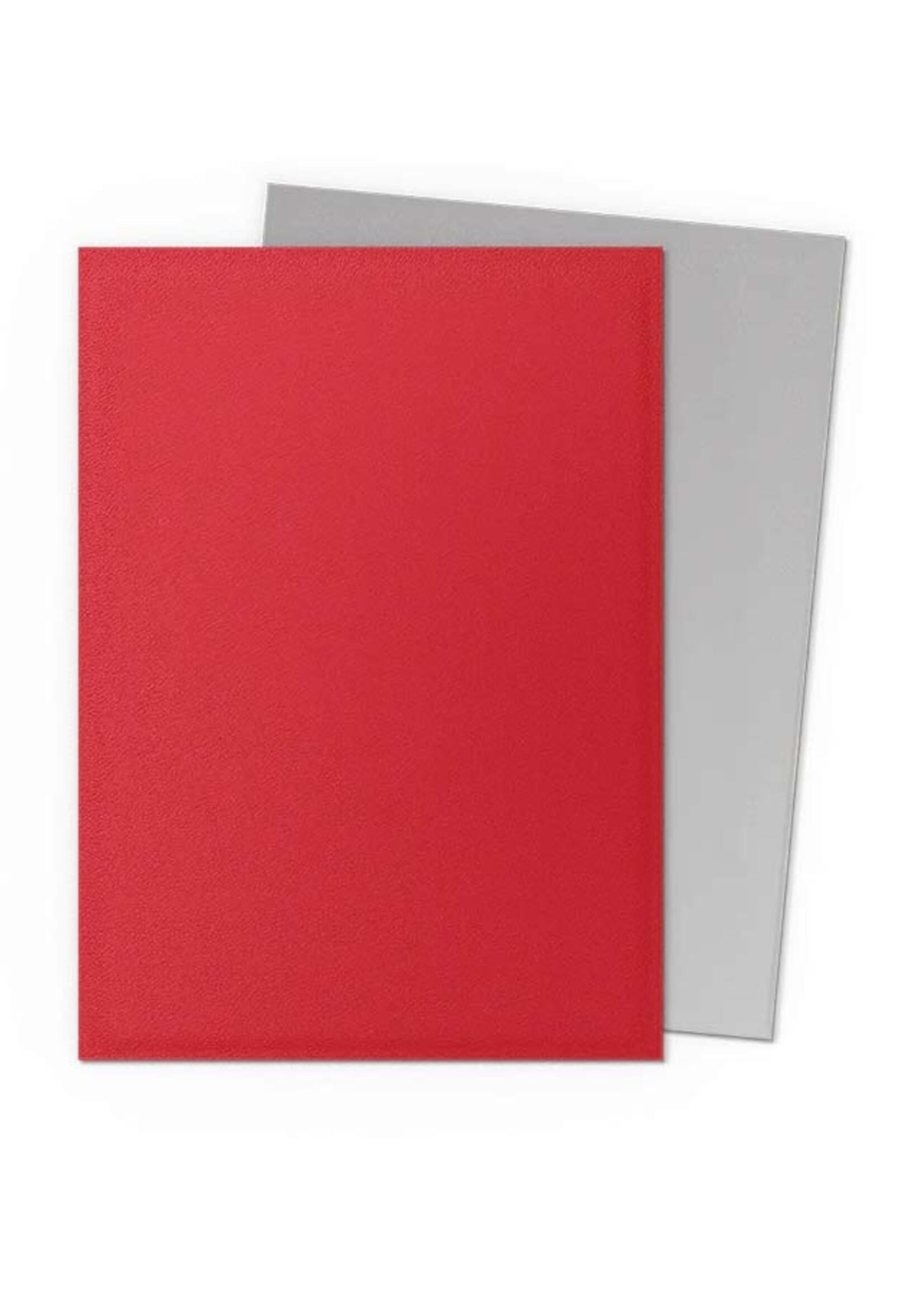 Arcane Tinmen Dragon Shield Standard Matte Dual: Crimson & Silver (100)