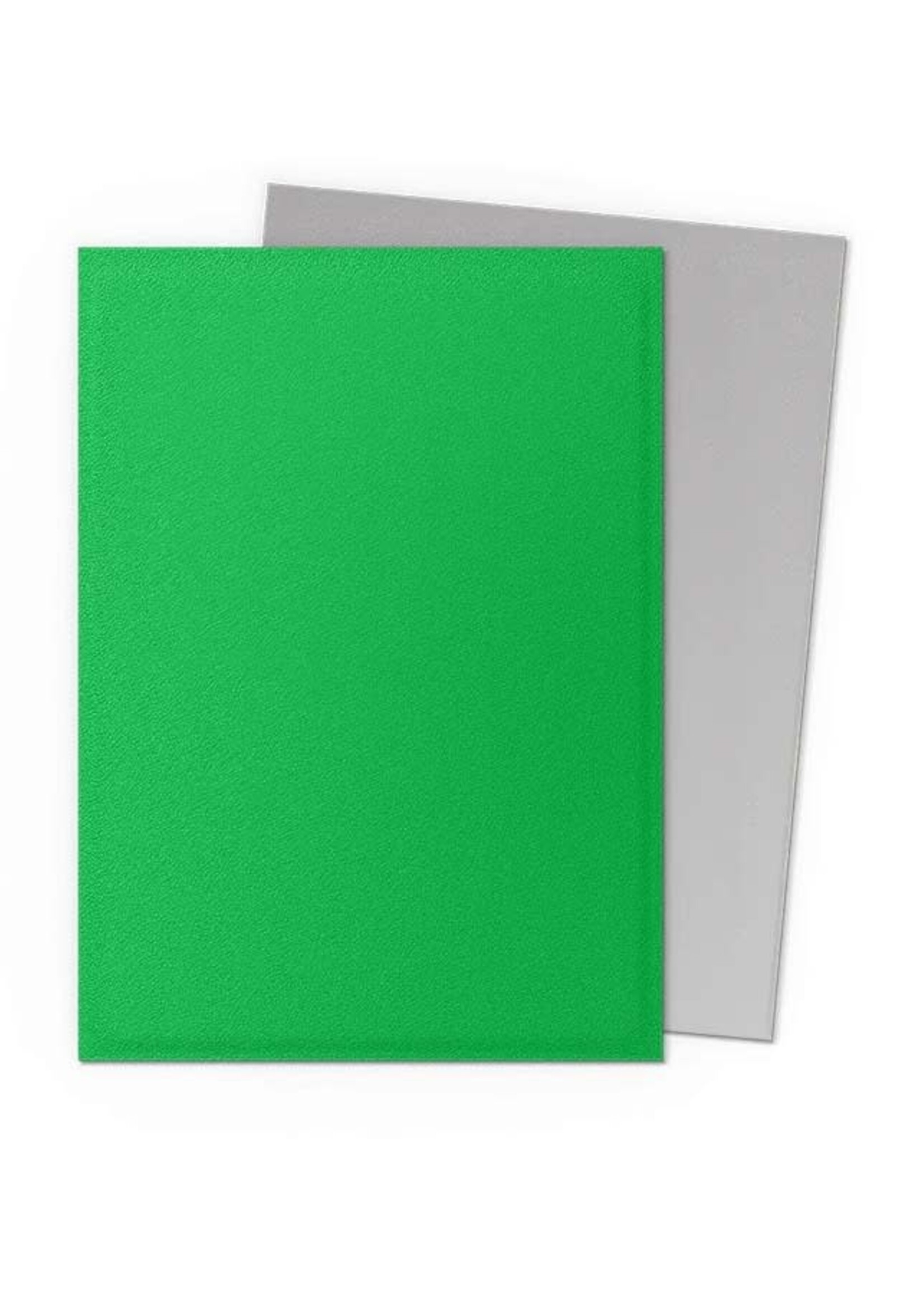 Arcane Tinmen Dragon Shield Standard Matte Dual:  Apple & Silver (100)