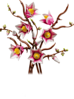 LEGO Botanicals: Magnolia Branches