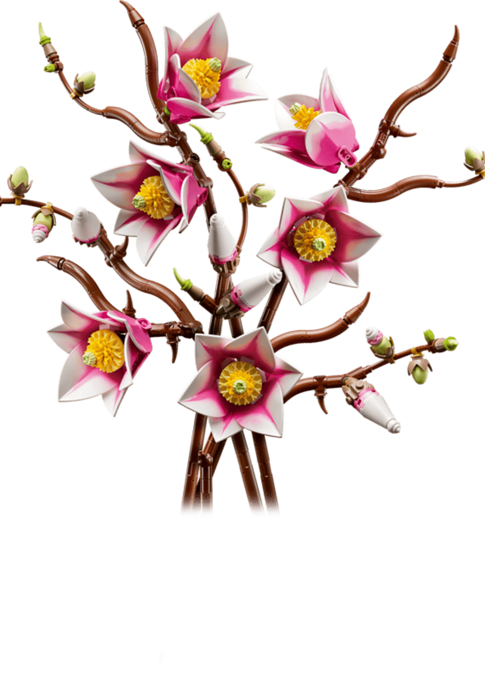 LEGO Botanicals: Magnolia Branches