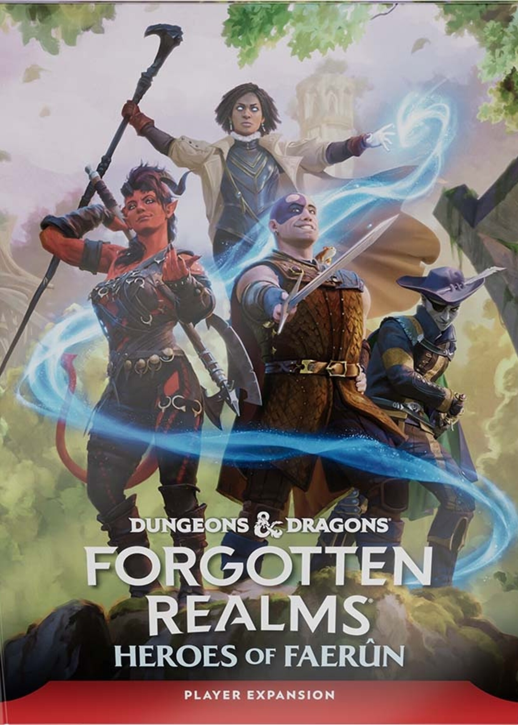 Wizards of the Coast D&D Heroes Of Faerun