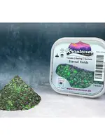 Baron of Dice Krautcover: Base Cover Eternal Fields