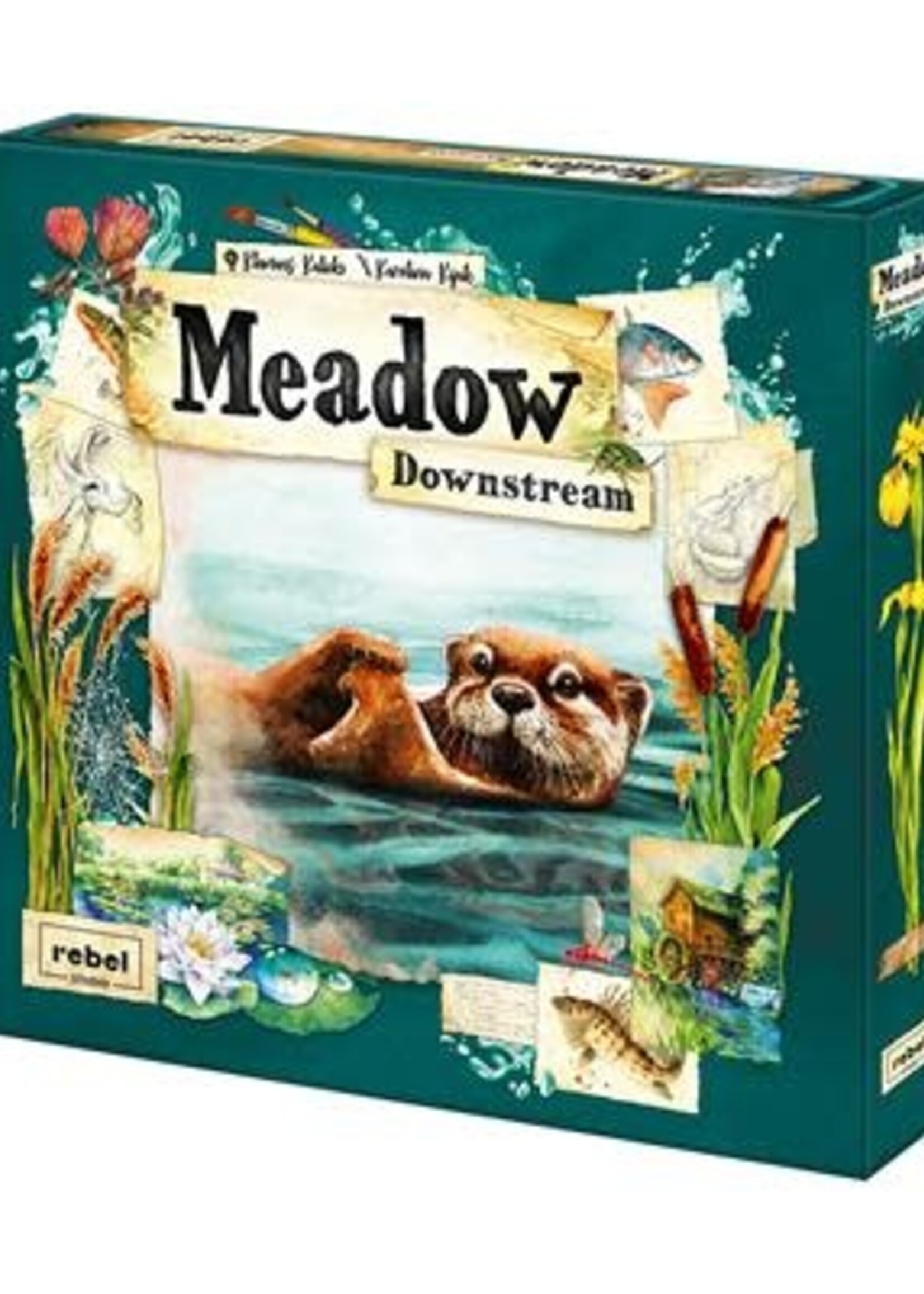 Meadow: Downstream