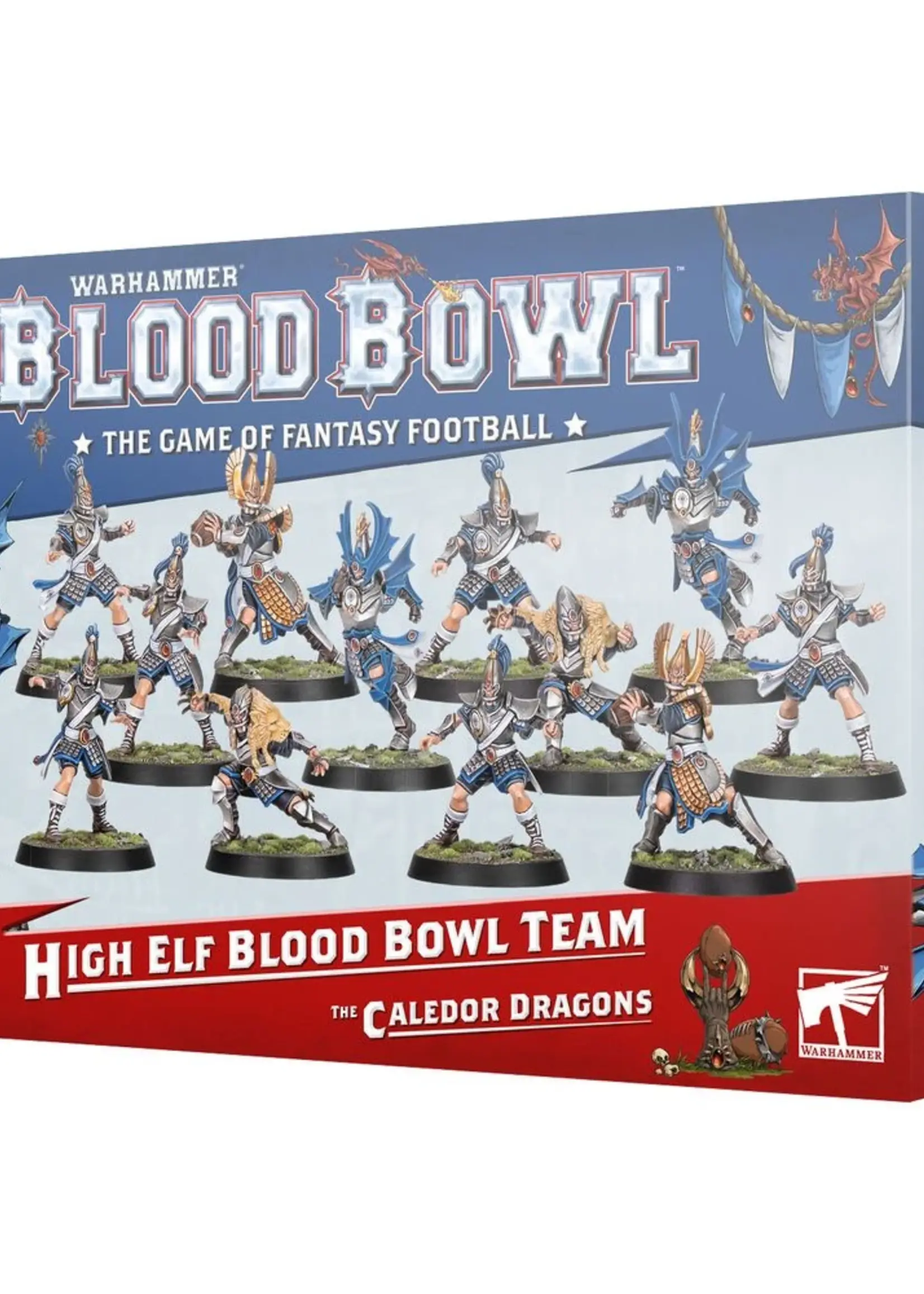 Games Workshop (GW) Blood Bowl: High Elf Team