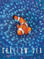 Shallow Sea