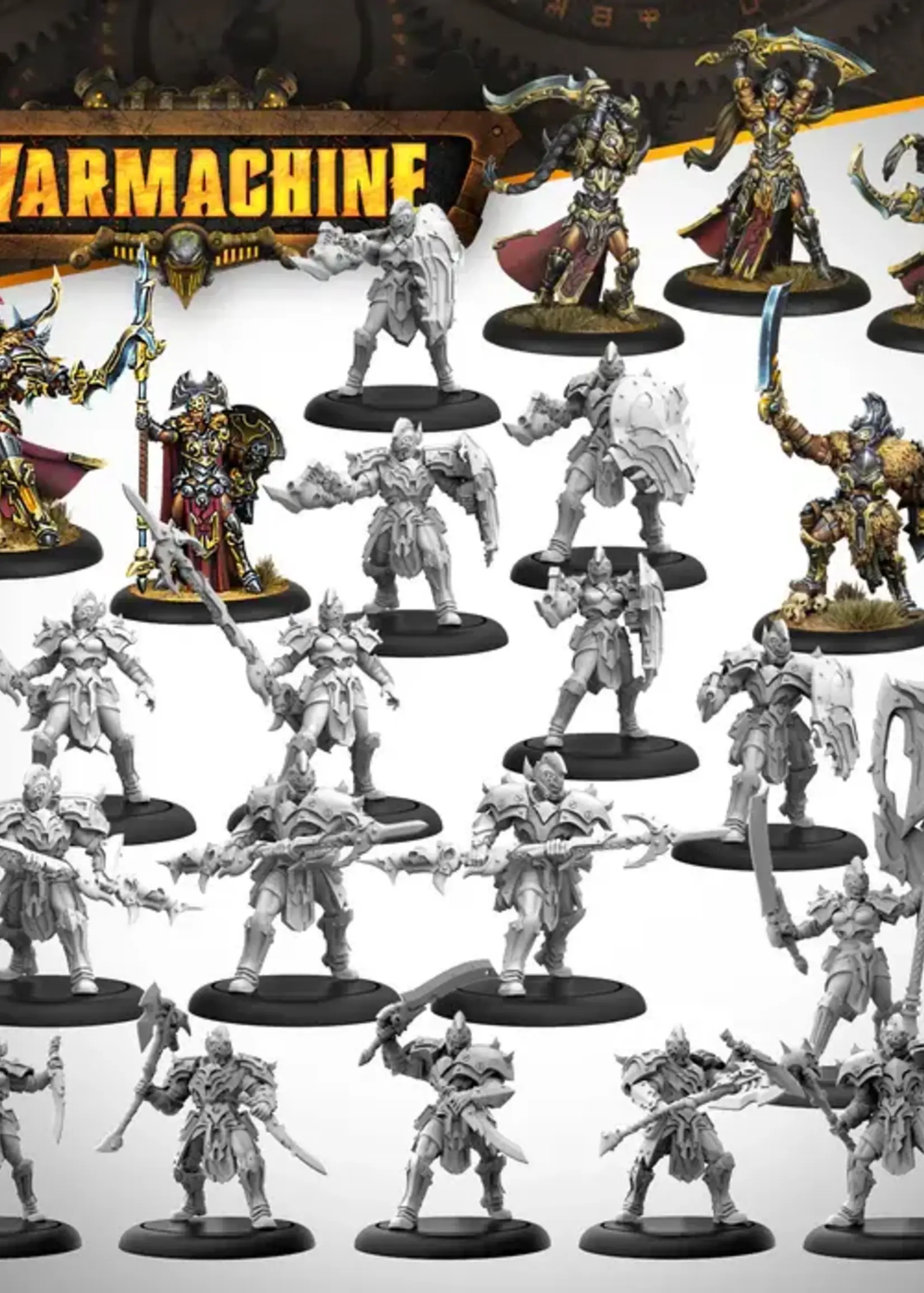 Steamforged Games LTD (SFG) Warmachine: Orgoth Sea Raiders Core Expansion