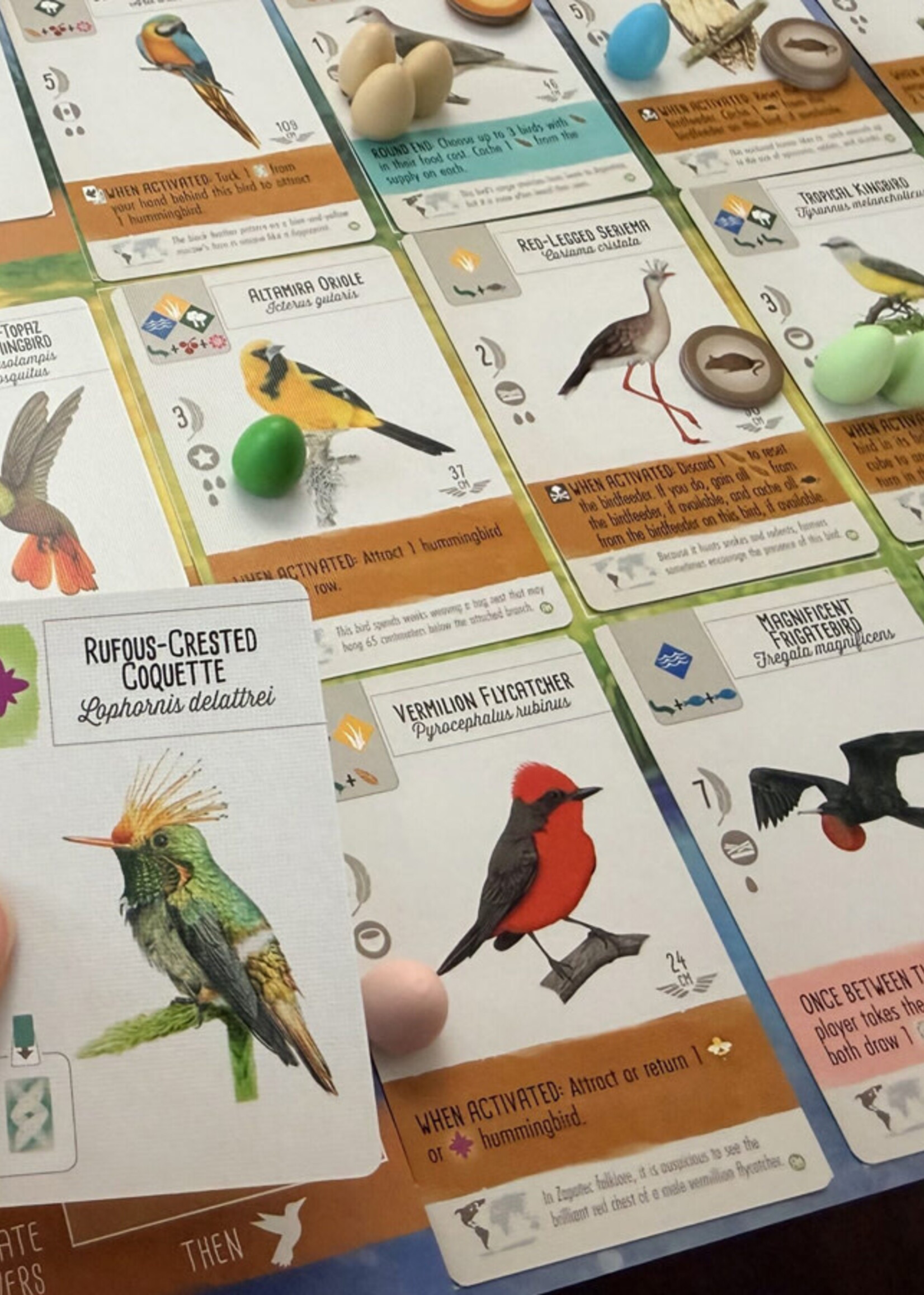 Stonemaier Games Wingspan: Americas Exp