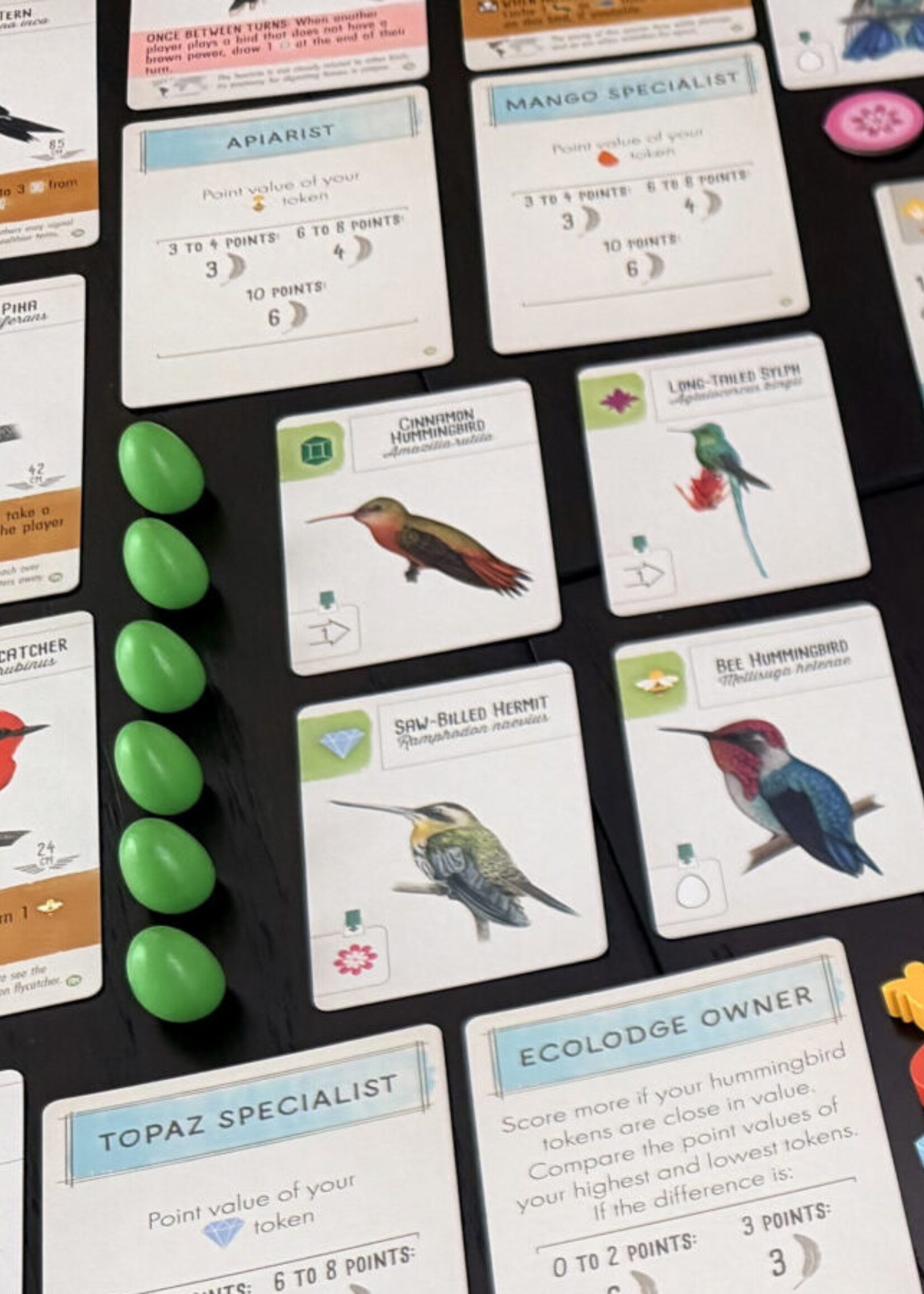 Stonemaier Games Wingspan: Americas Exp