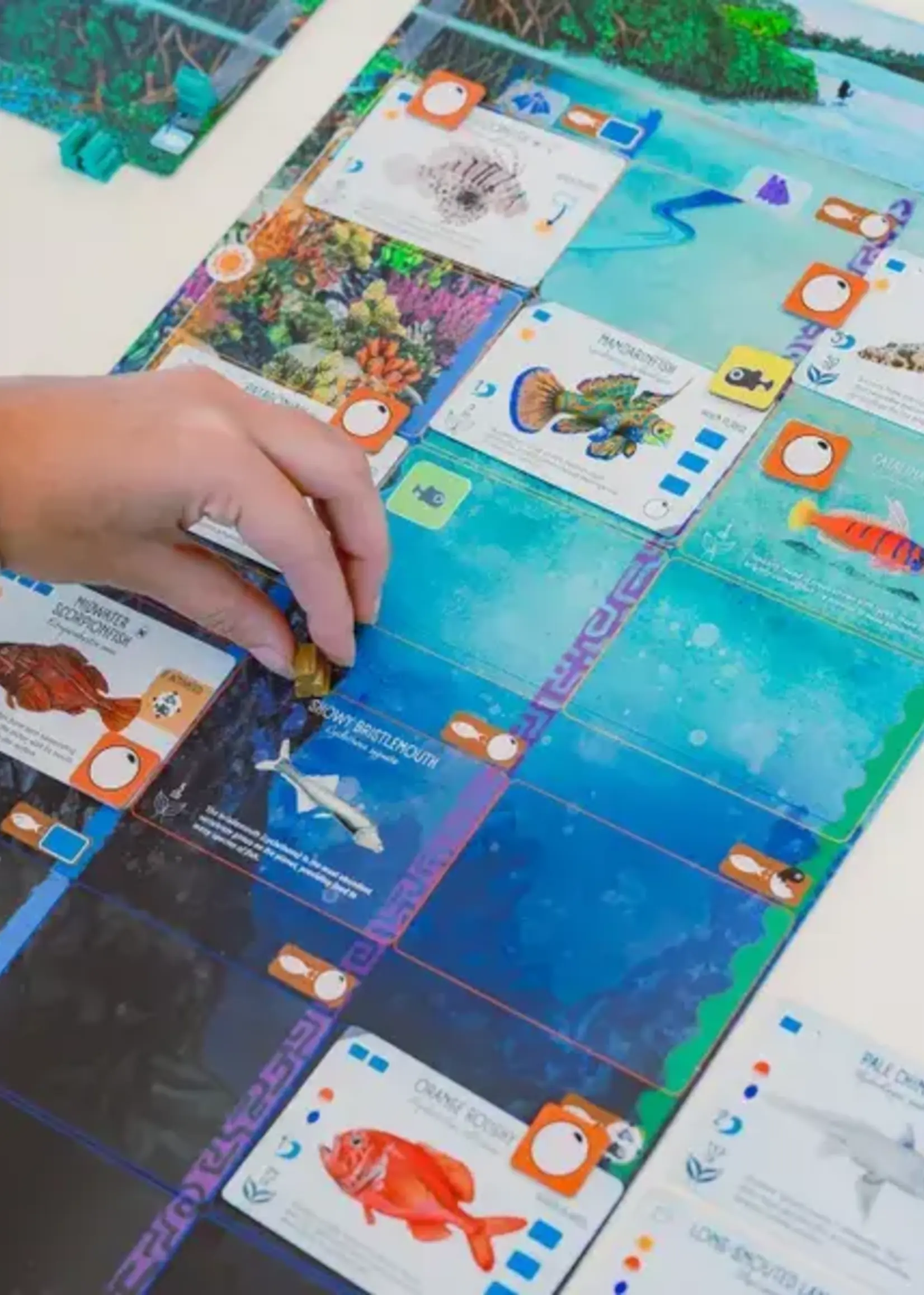 Stonemaier Games Finspan