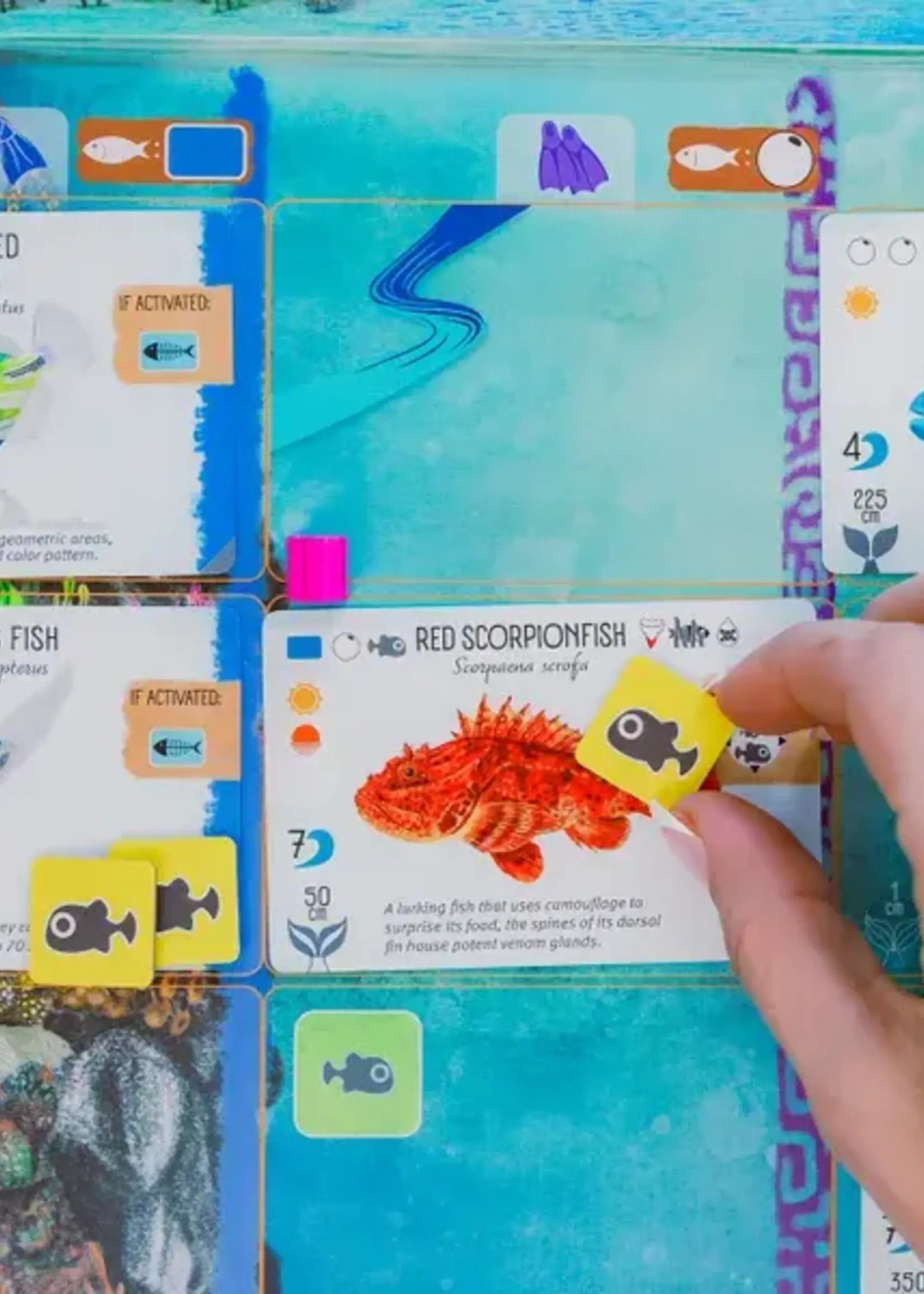 Stonemaier Games Finspan