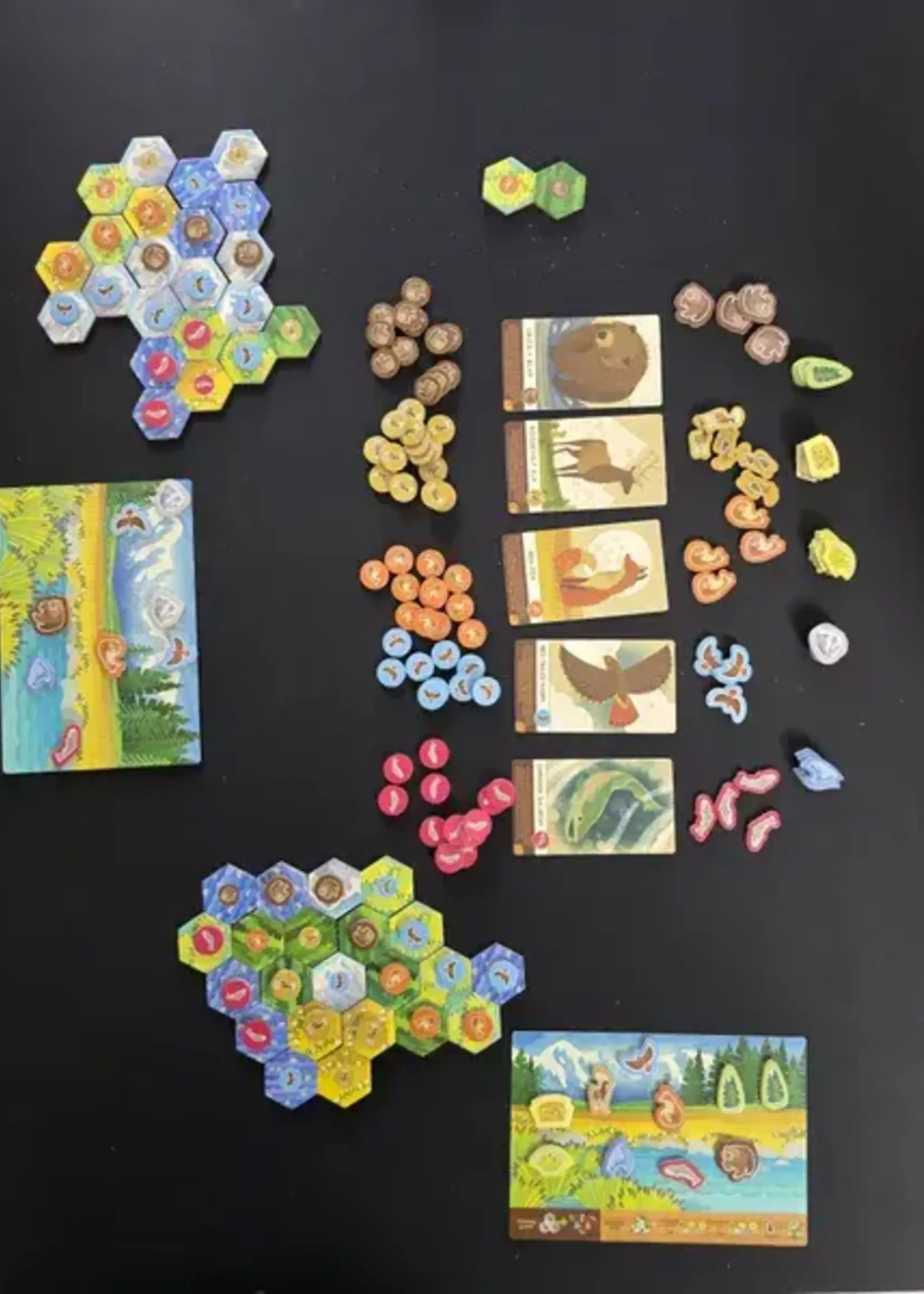 Alderac Entertainment Group Cascadia Junior