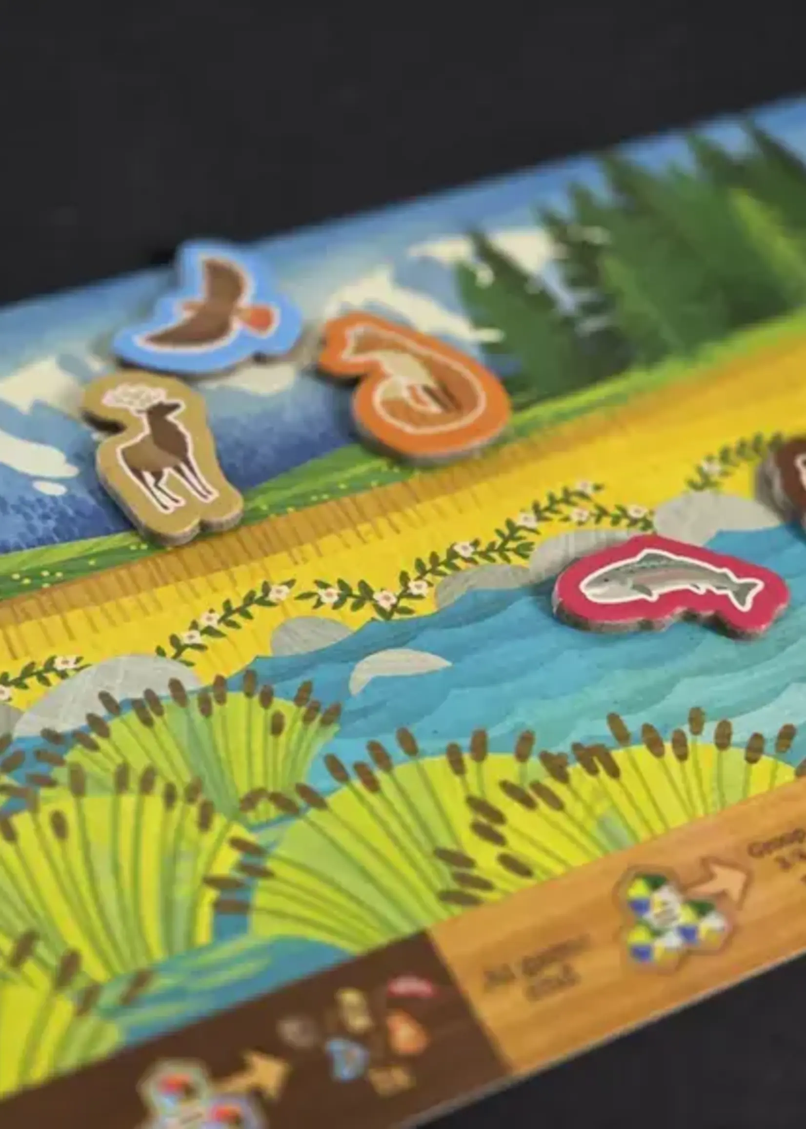 Alderac Entertainment Group Cascadia Junior