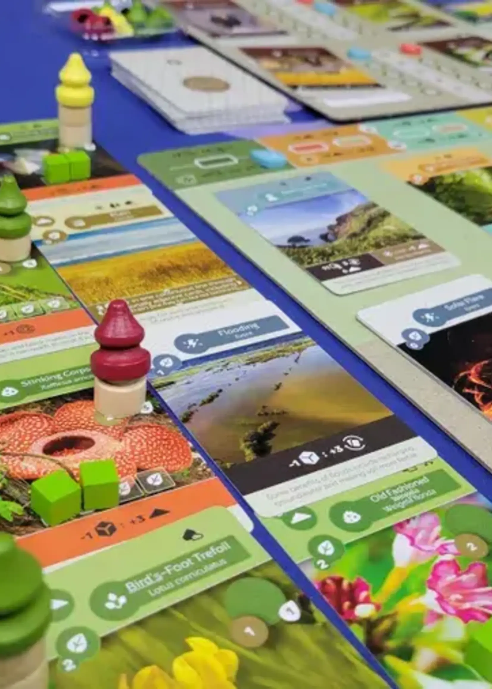 inside up games Earth