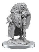 WizKids D&D Minis: W19 Wereravens