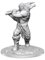 WizKids D&D Minis: W16 Ogre Female