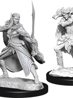 WizKids D&D Minis: W15 Winter & Spring Eladrin