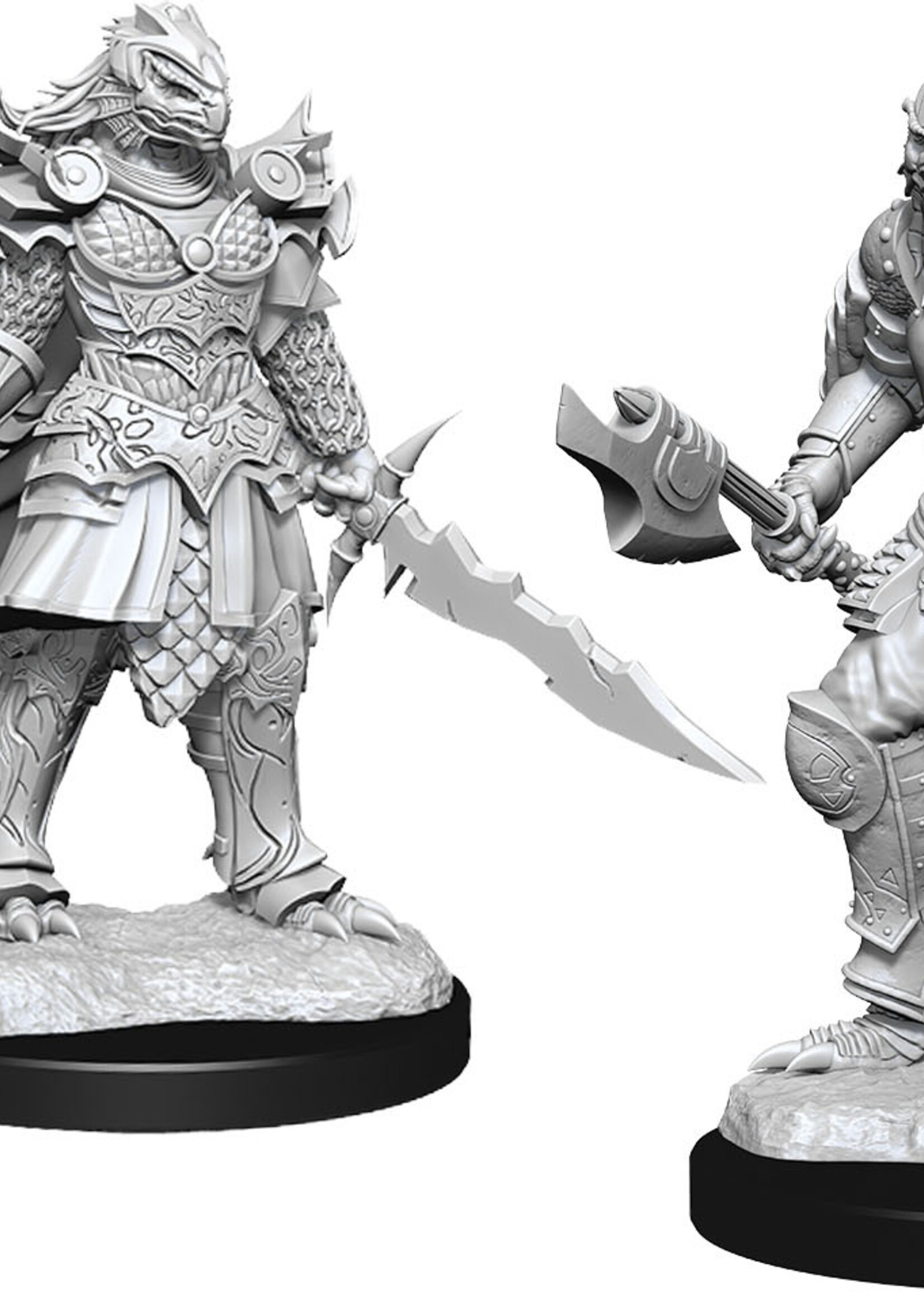 WizKids D&D Minis: W15 Dragonborn Female Fighter