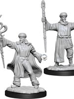 WizKids D&D Minis: W13 Human Male Wizard