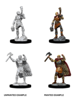 WizKids D&D Minis: W12 Human Female Barbarian