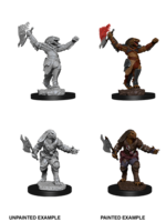 WizKids D&D Minis: W11 Dragonborn Female Fighter