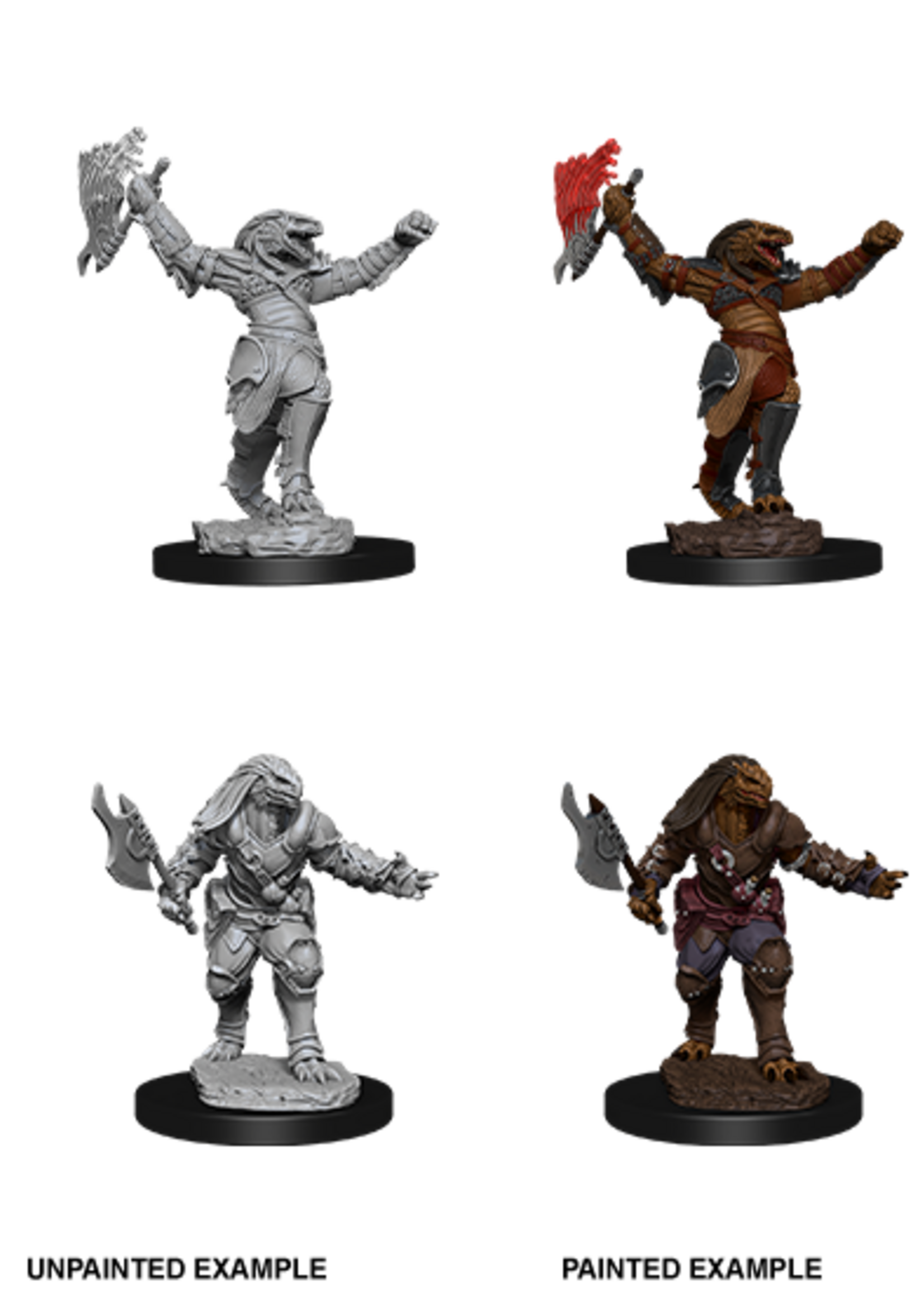 WizKids D&D Minis: W11 Dragonborn Female Fighter