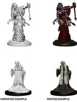 WizKids D&D Minis: W06 Green Hag & Night Hag