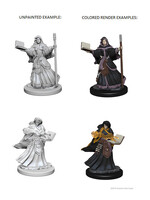 WizKids D&D Minis: W01 Human Female Wizard