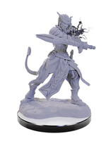 WizKids D&D Minis: W22 Tiefling Warlocks