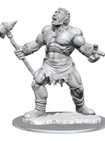 WizKids D&D Minis: W16 Cyclops