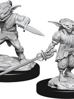 WizKids D&D Minis: W15 Goblin Male Rogue & Female Bard