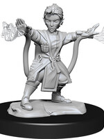 WizKids D&D Minis: W14 Gnome Female Artificer