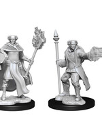 WizKids D&D Minis: W13 Multiclass Male Cleric & Wizard