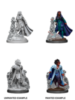 WizKids D&D Minis: W12 Tiefling Female Sorcerer