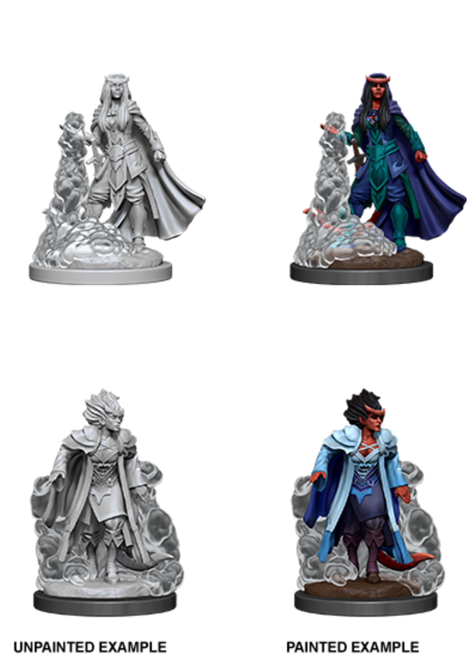 WizKids D&D Minis: W12 Tiefling Female Sorcerer