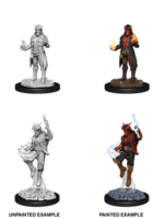 WizKids D&D Minis: W12 Tiefling Male Sorcerer